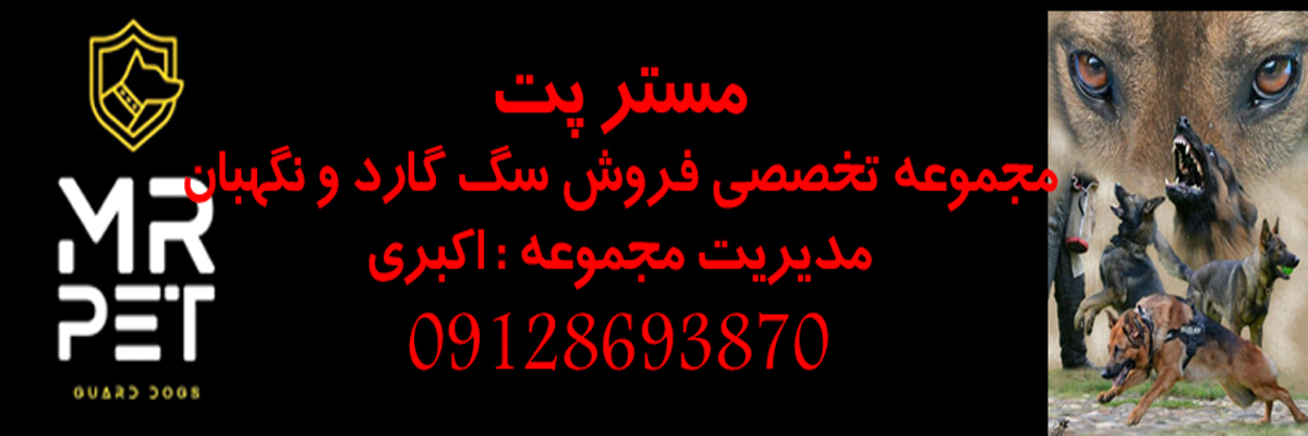 فروش سگ گارد اکبری